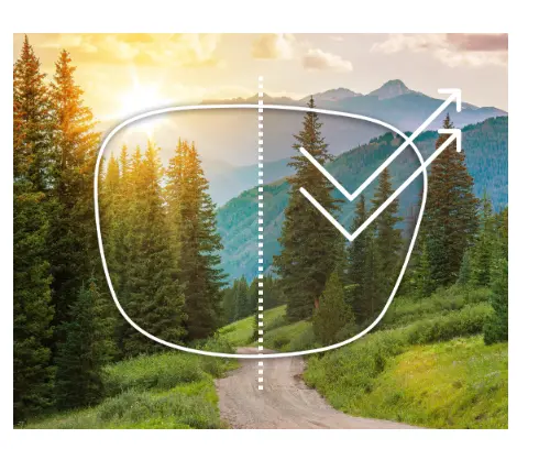  Lenscure.in  Premium